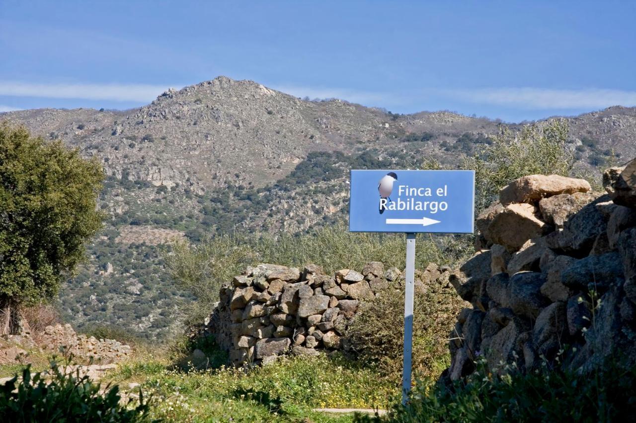 Finca El Rabilargo Arroyomolinos de Montánchez الغرفة الصورة